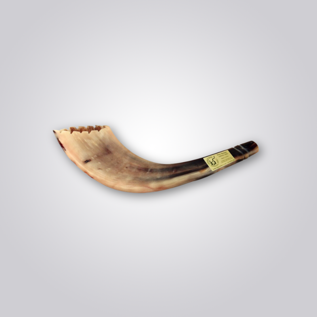 Shofar de Carneiro Estilo Marroquino(33-38cm)